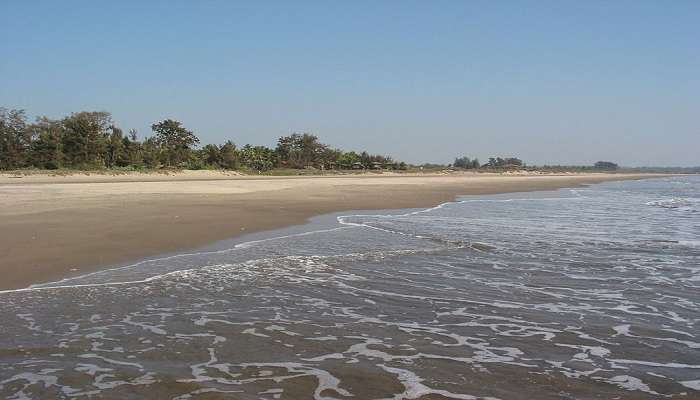 Morjim Beach is one of the best beaches in Goa