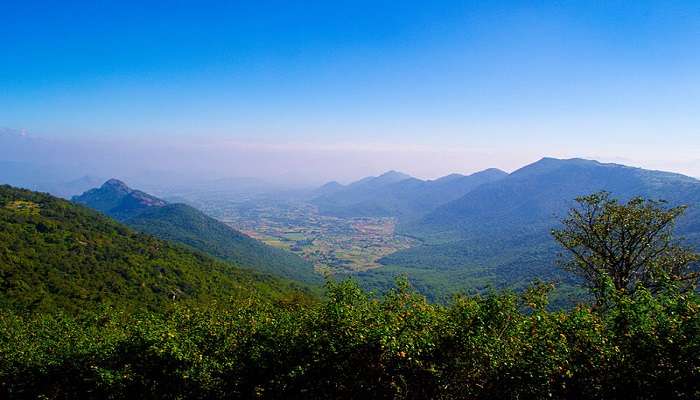 Yercaud is one of the best tourist places in South India in summer