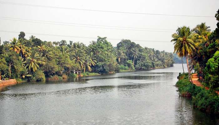 Achankovil River makes for an essential part of Kollam and is one of the best places to visit in Kollam.