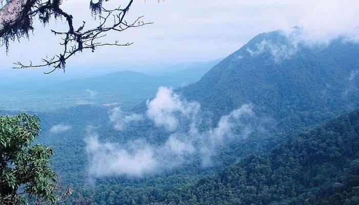 Agumbe is one of the best offbeat honeymoon places in August in India.