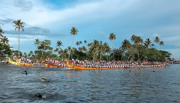 Watch The Snake Boat Race, one of the things to do in Kerala