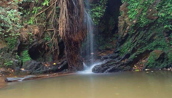  Apsara Konda Falls is one of the best places to visit in Murudeshwar