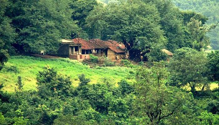 Araku Valley is one of the best location to visit in South India in summer