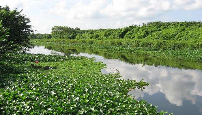 Attidiya Bird Sanctuary, among Sri Lanka tourist places