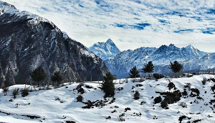 Auli, places to visit in Uttarakhand in winter