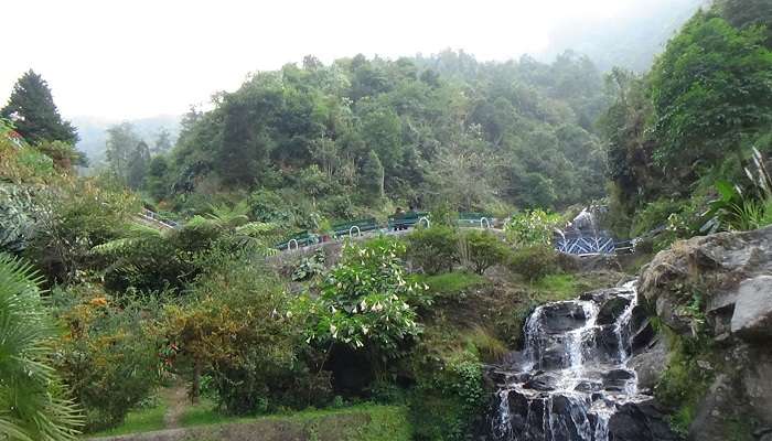 Visiting the rock garden, things to do in Darjeeling