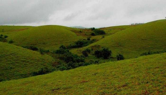 Barren Hills, places to visit in Vagamon