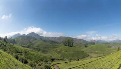 Image of the stunning tea plantations in Munnar