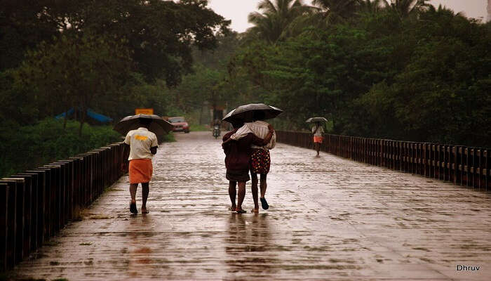 Top 8 Places to Visit in Kerala in August for All Kinds of Travellers