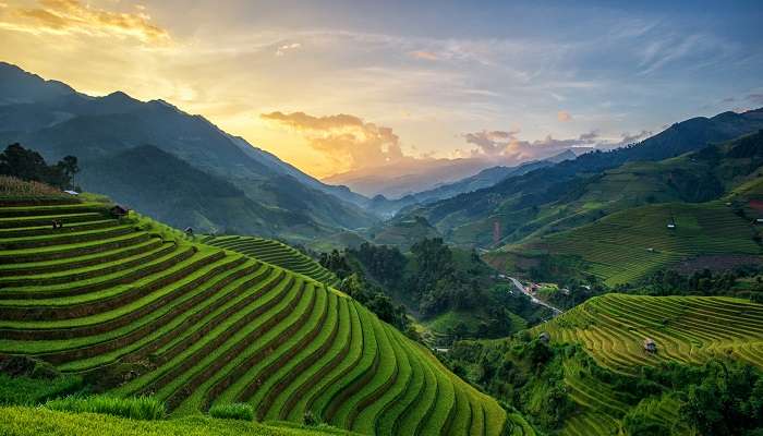 Rice fields on terrace in rainy season at Mu Cang Chai, Things To Do In Vietnam