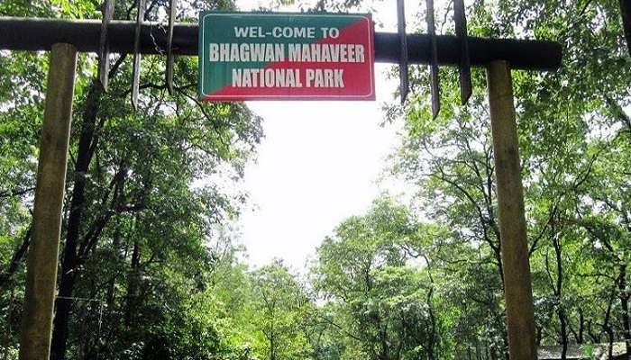 Bhagwan Mahaveer Wildlife Sanctuary, places to visit In South Goa