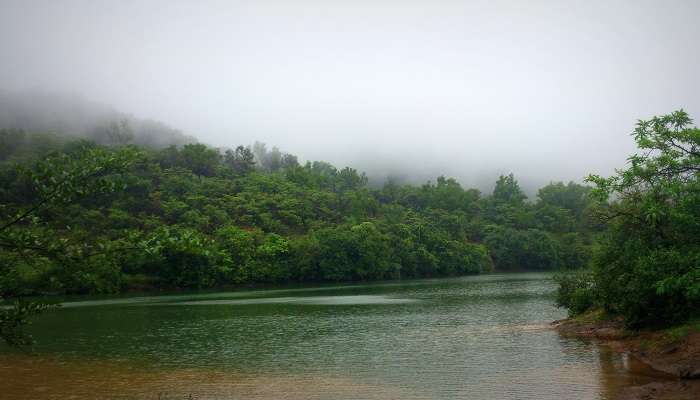 Bhushi Dam, things to do in Lonavala