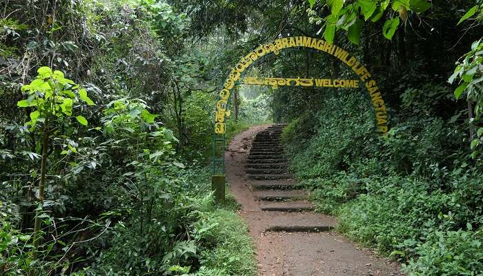 The Brahmagiri Wildlife Sanctuary entrance is pictured here, one of the best places to visit in Coorg in July.
