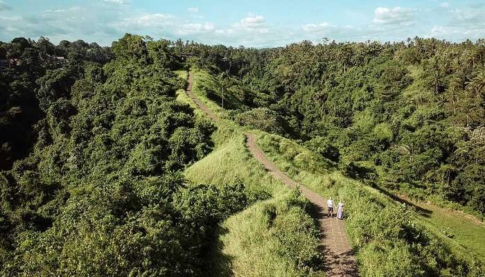 Places To Visit Near Campuhan Ridge Walk Bali In March