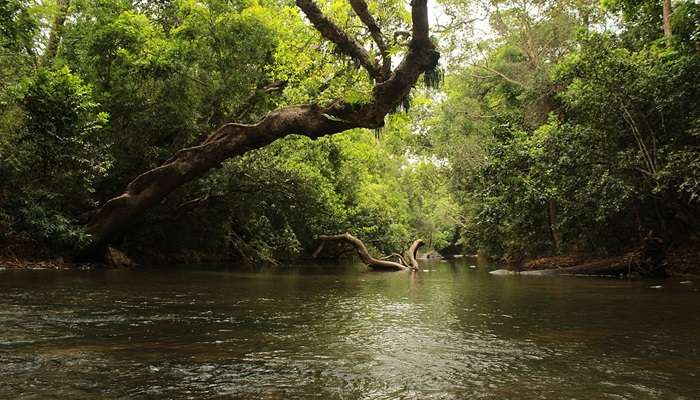 A spectacular island to visit in Coorg trip from Bangalore and enjoy the adventure.