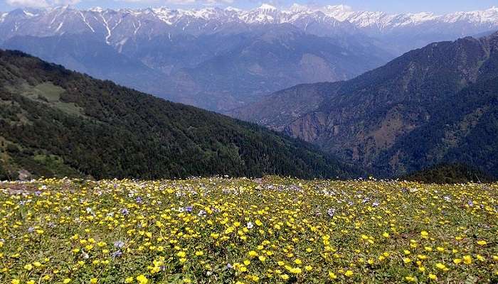 Chandrakhani Pass