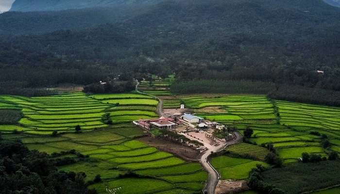 Chikmagalur, places to visit in Karnataka In winter