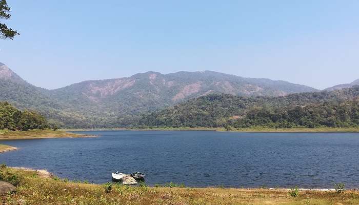 Chimmini Wildlife Sanctuary, places to visit near Athirapally Waterfalls