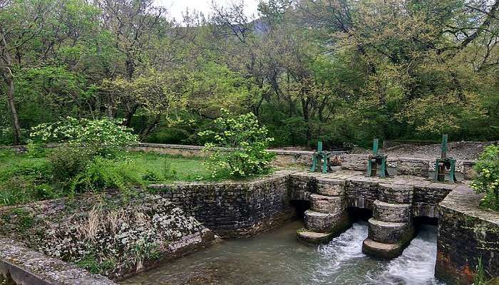 Dachigam National Park, among the best places to visit in Kashmir.
