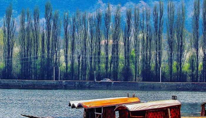 Dal Lake, among the best visiting places in Jammu and Kashmir