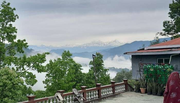 Darjeeling Blossom Eco-Tourism