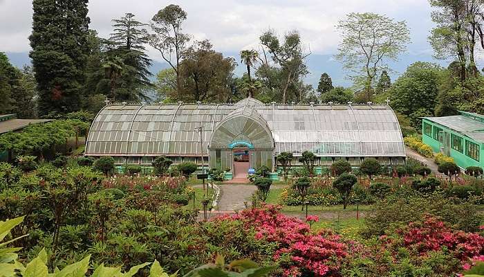 Tourist place in Darjeeling- Botanical Garden 