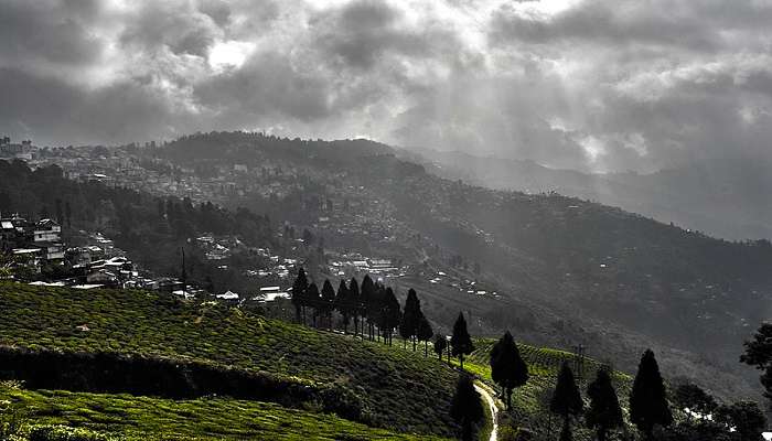 Visit Garibas, a village in Darjeeling 