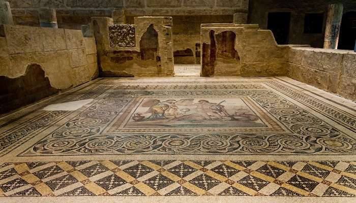 Zeugma Mosaic Museum