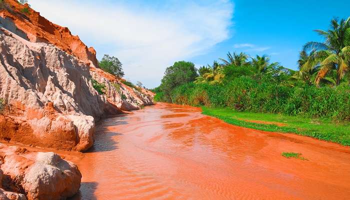 Sand Dunes Of Mui Ne 