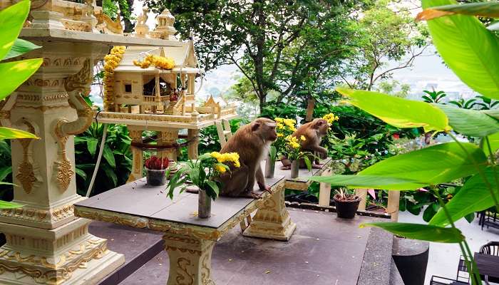 Monkey Hill Temples