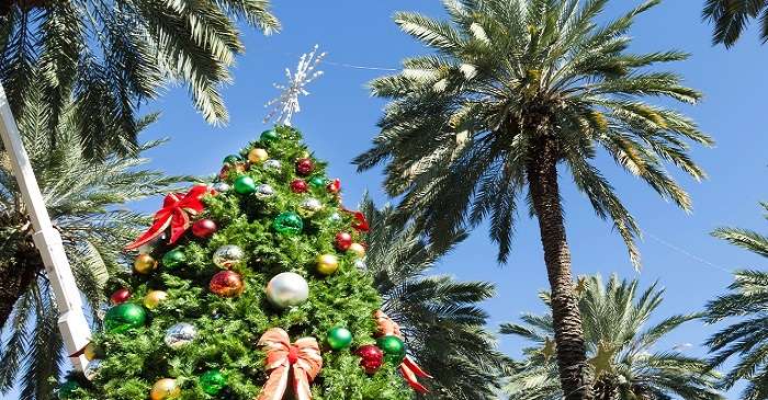 Christmas In Miami: Make The Most Of 2026 Winter Celebrations