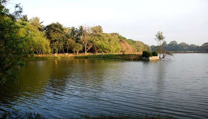 Pu Luong Nature Reserve 