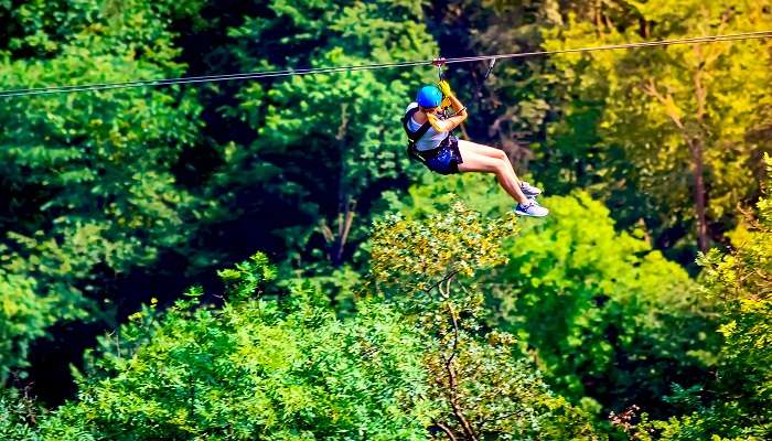 Zip line - Things to do in Phuket