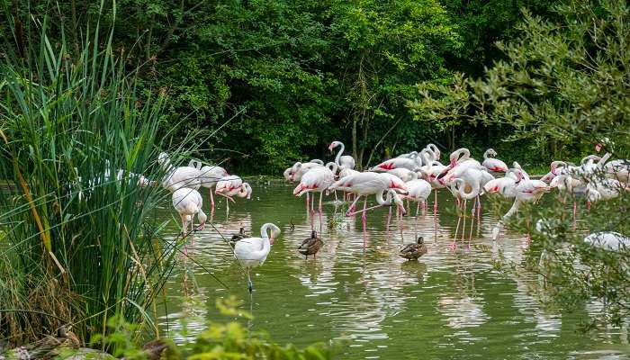 Izmir Natural Life Park