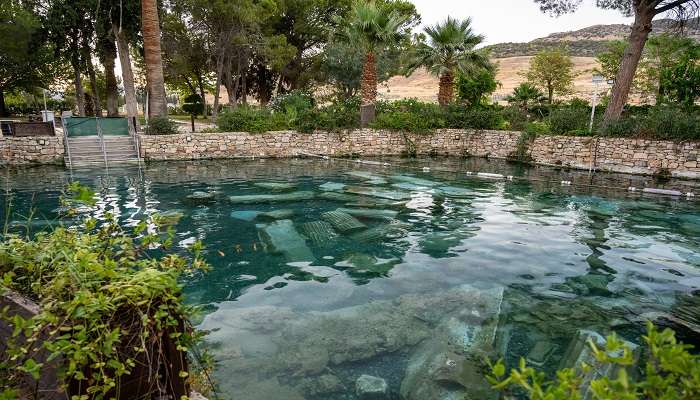 Cleopetra Pools