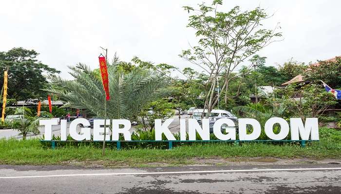 Tiger Kingdom