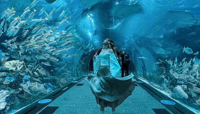 Dubai Aquarium, among places to visit in Dubai