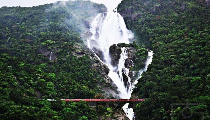 Dudhsagar Falls, places to visit In South Goa