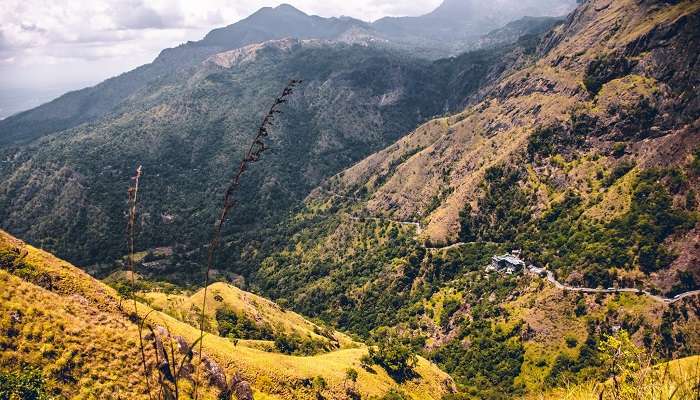 Ella Rock, among Sri Lanka tourist places