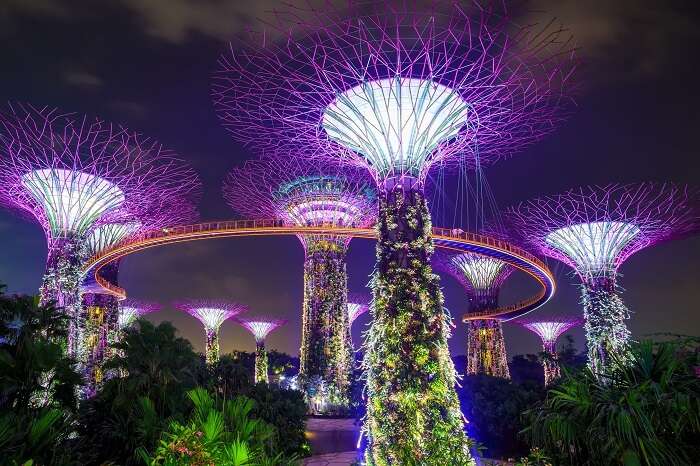 Garden by Bay is one of the best places in Singapore with Family