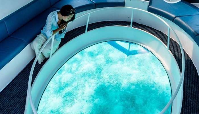 Glass Bottom Boat Rides, among Things To Do In Maldives