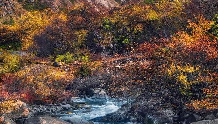 majestic Gorichen Peak in Tawang, places to visit in Arunachal Pradesh