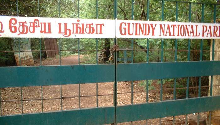 An entrance of Guindy National Park