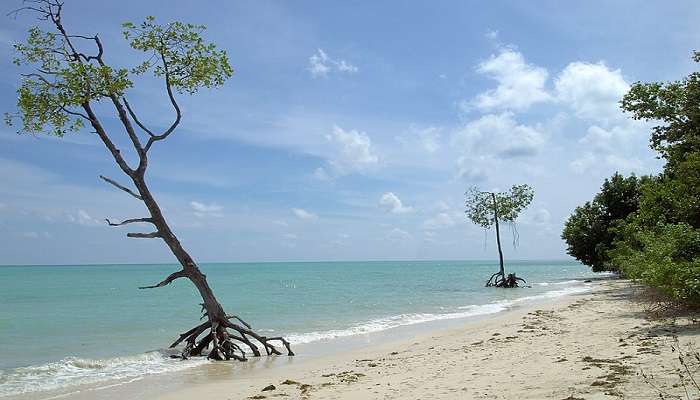 Island hopping is one of the best things to do in Andaman