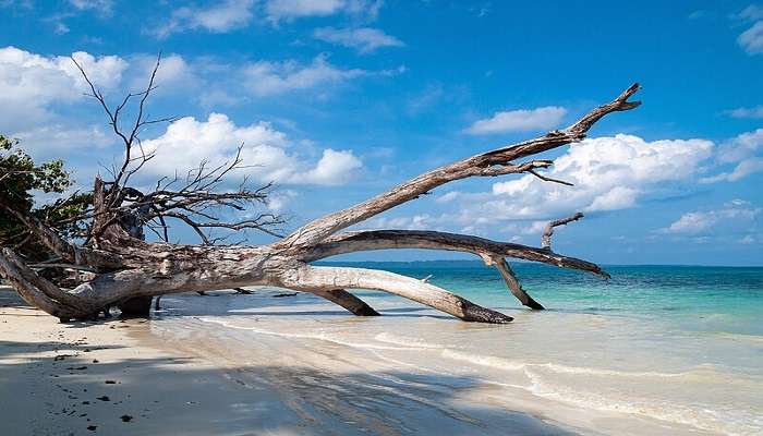 Visit Lakhsman Beach is one of the best things to do in Andaman