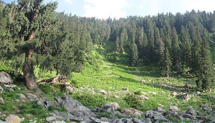 Shopian - one of the best places to visit in Kashmir 