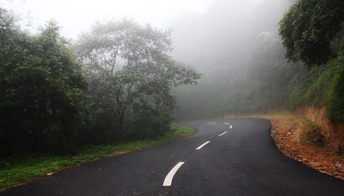 Hill Stations Near Trivandrum: Escape to The Cool Hills of God’s Own Country