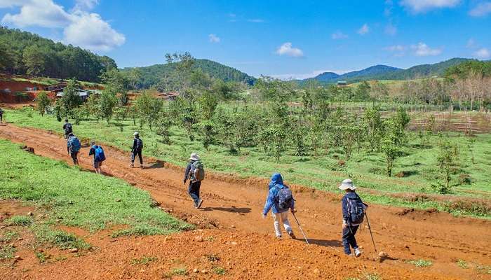 Trekking in Vietnam, Things To Do In Vietnam