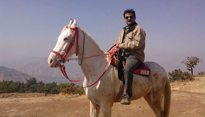 Horse Riding is one of the best things to do in mahabaleshwar