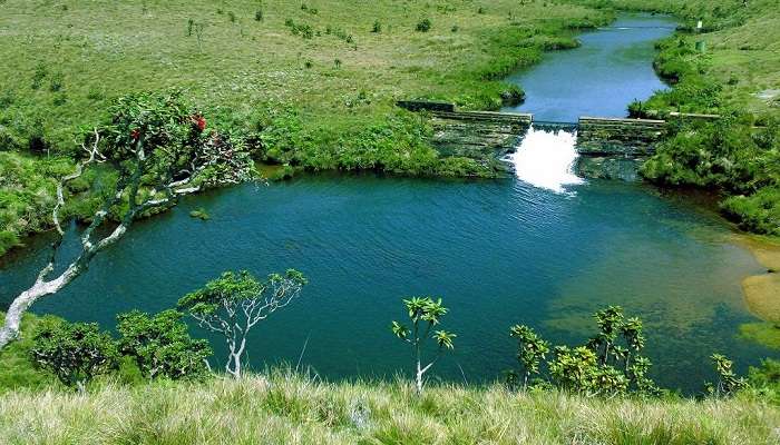 Horton Plains National Park, among Sri Lanka tourist places